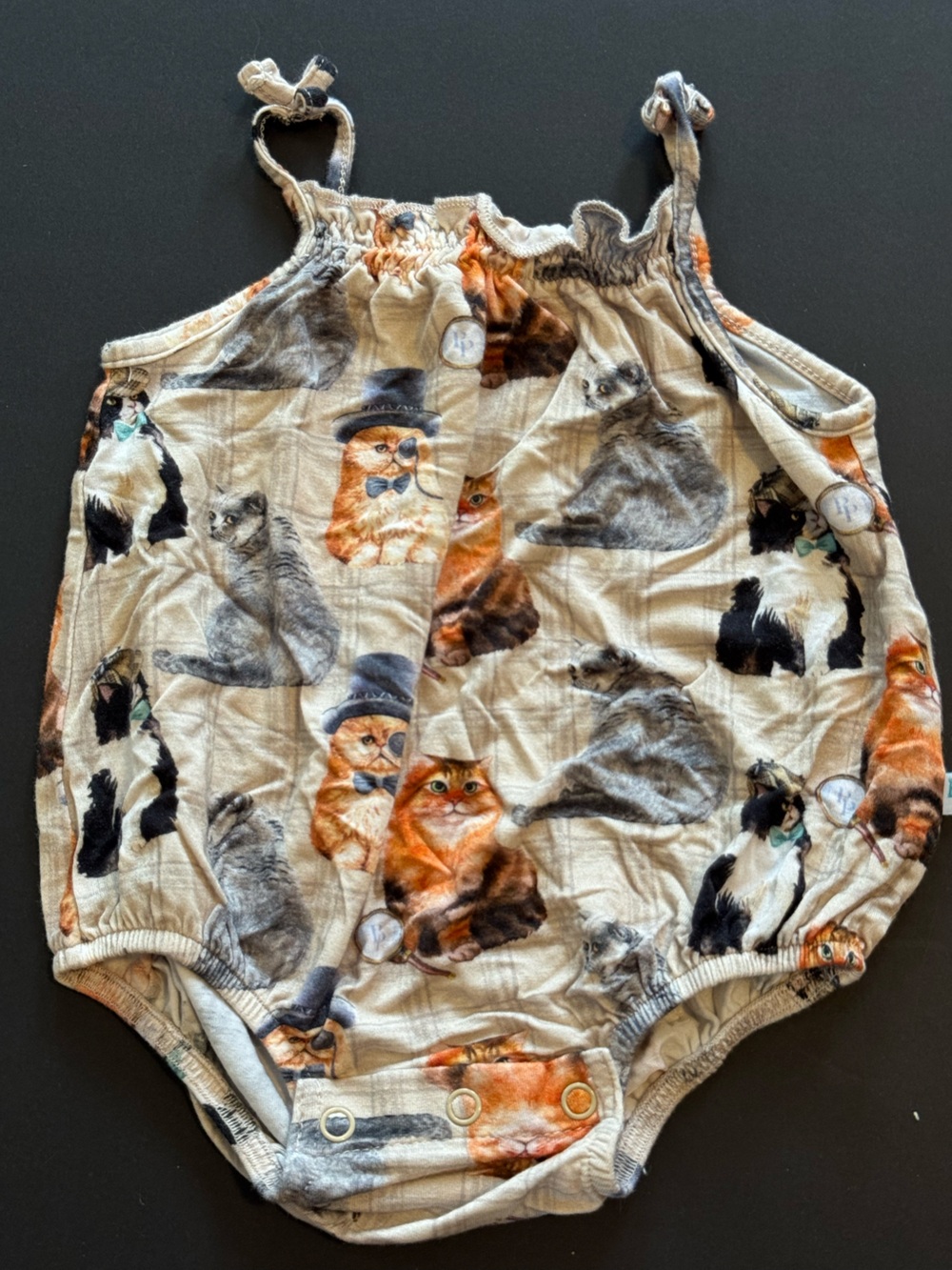 Posh Peanut Cream Bubble with Cat Print in Orange, Gray, Black